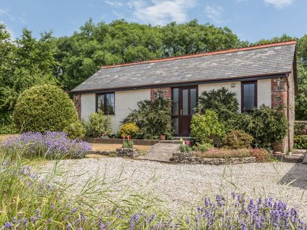 A single story cottage with plants and flowers in front and a gravel driveway at Wagtail in Bradworthy near Bude