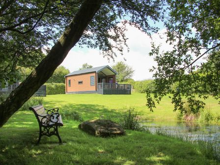 A wooden bench under a tree beside a pond with a small cabin on a grassy hill in the background at Jacob's Meadow Pod 2 in Minsterley near Chirbury