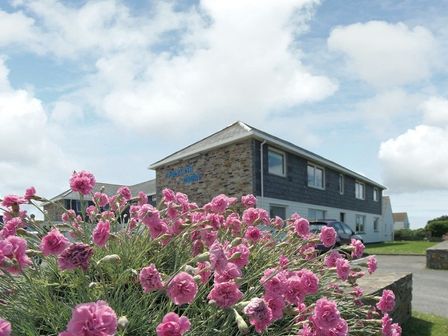 A cluster of pink flowers with a two-story building and parked car in the background at Polzeath Court 4 in Polzeath