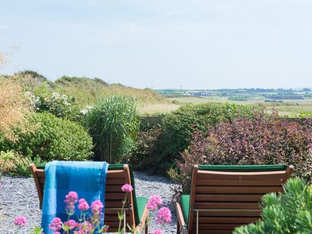 Two wooden lounge chairs with green cushions beside flowering plants and tall grass overlooking countryside at The Point in Polzeath