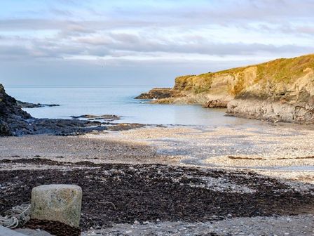 A rocky beach with algae and cliffs around a calm sea at Stop Tide in Port Isaac