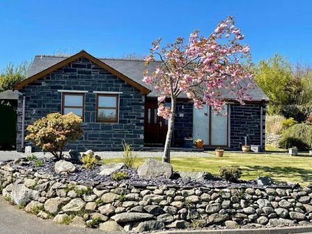 A stone house with a flowering tree and rock wall in the front garden at Yr Encil in Llanddaniel near Gaerwen
