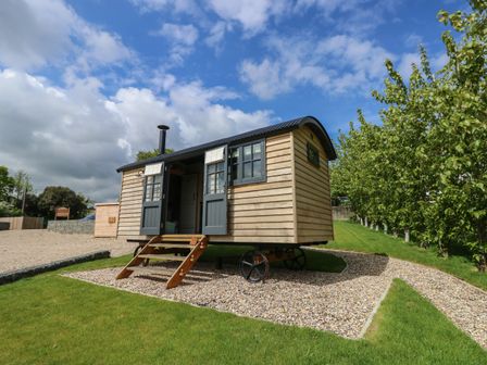 A wooden shepherd hut with black windows and a small staircase on a gravel path surrounded by grass and trees at Merlot in Pondwell near Seaview