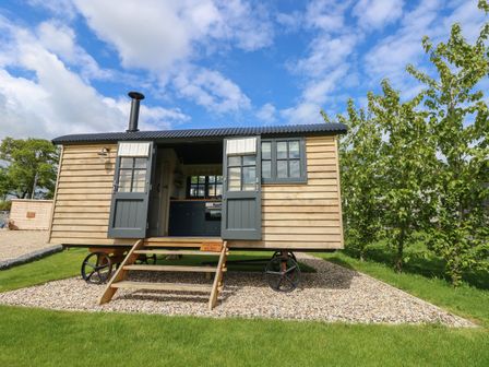 A small wooden cabin on wheels with open doors and steps leading inside at Malbec Pondwell near Seaview