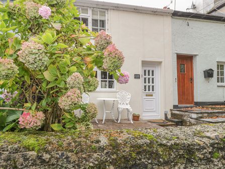 A small patio with a white table and chairs with a plant with round flowers and a stone wall in front at Ty Coed in Beaumaris