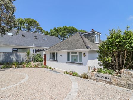 A white house with a stone driveway and a garden with trees and plants at The Pines in Carbis Bay