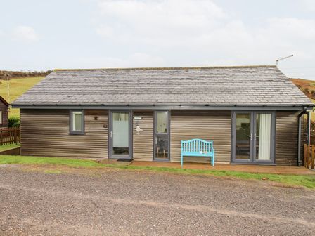 A single story wooden house with gray roof a blue bench outside at Beside the Sea in Eype