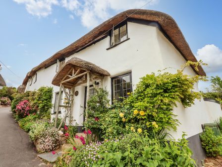 A white cottage with a thatched roof and wooden porch surrounded by flowering plants and greenery at Rose Cottage in Holcombe Teignmouth