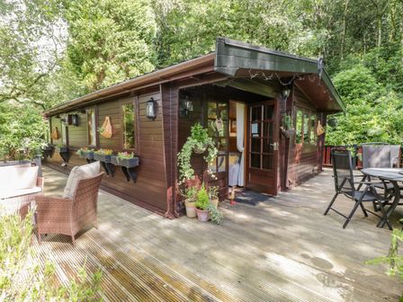 An outdoor wooden deck with chairs and tables around a brown wooden cabin surrounded by trees at Scafell Lodge Skiptory Howe 7 White Cross Bay Holiday Park near Windermere