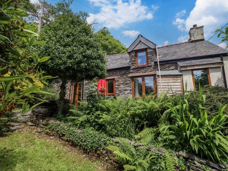 A stone cottage with multiple windows surrounded by dense green plants and a trimmed tree at Hen Bopty in Fairbourne
