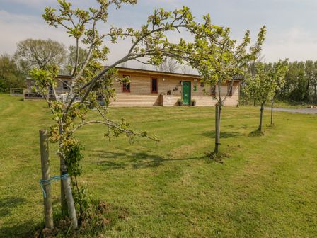 A wooden single-story house with a green door and small trees in front on a grassy lawn at Down the Rabbit Hole in Brinsea near Congresbury