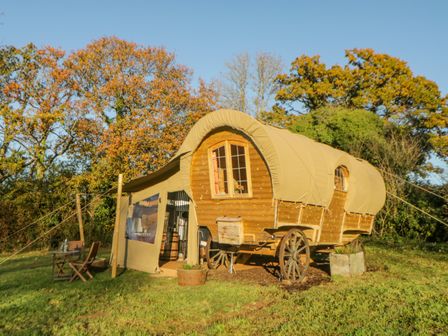 A wooden covered wagon with canvas roof in a grassy area with autumn trees in the background at The Wagon at Burrow Hill in Ottery St Mary