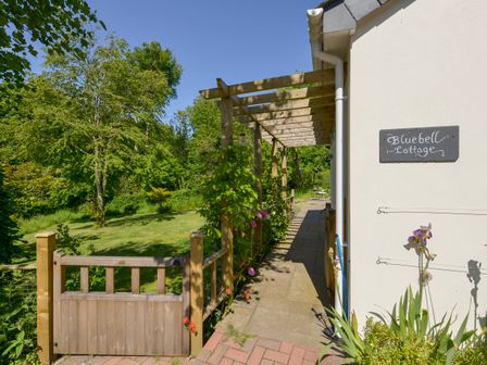A wooden gate and pergola next to a white building with a garden area at Bluebell Cottage in Mary Tavy