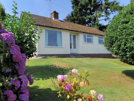 A single story house with white walls and a tiled roof surrounded by green lawn and flowering bushes at Mount View in Uplyme
