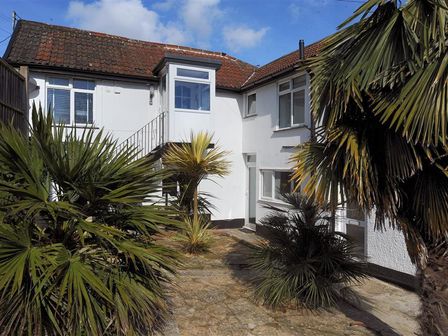 An outdoor courtyard with palm trees and white buildings at Hatchett Top Flat in Lyme Regis