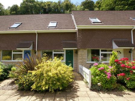 A row of houses with brown roofs skylights and green and blue front doors with flowers and shrubs in the front at 48 Fernhill Heights in Charmouth