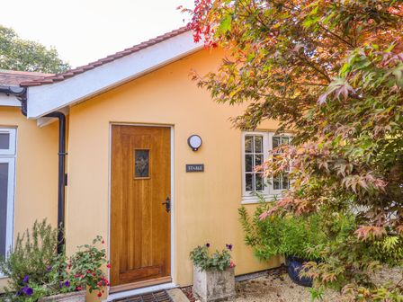 A yellow exterior wall with a wooden door and window surrounded by plants and a tree at The Stable in Uplyme
