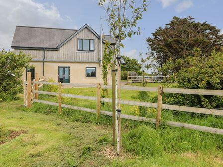 A two-story house with a wooden fence and young trees in a grassy yard at Landfall in St Twynnells near Pembroke