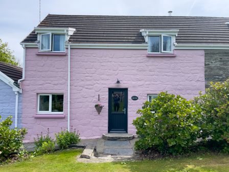 A pink stone house with green bushes and a dark door at The Shippen @ Canllefaes in Penparc near Cardigan