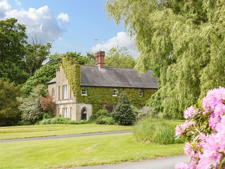 A house covered with ivy surrounded by trees and a lawn with pink flowers in the foreground at Scarvagh House Scarva near Loughbrickland