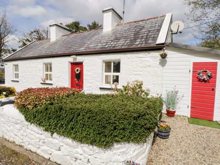 A white stone cottage with red doors and windows with bushes and potted plants outside at Cartron Cottage in Ballintubber County Mayo