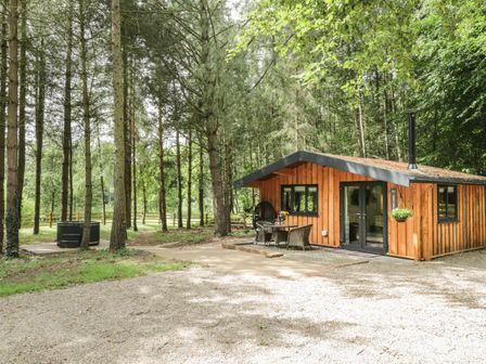 A wooden cabin with outdoor seating and a forest area with tall trees and a hot tub at Lake View Lodge in Wykeham near East Ayton