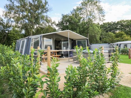 A tent with a wooden deck and picnic table surrounded by green plants and trees