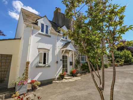 Exterior view of a white house with flower pots near the door and a tree in the foreground at The Little Cottage in Weymouth