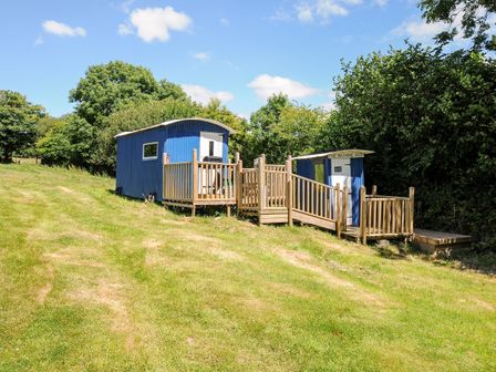 A blue shepherds hut with a wooden deck and ramp on a grassy hill surrounded by trees at Shepherds Hut in Boconnoc near Lostwithiel