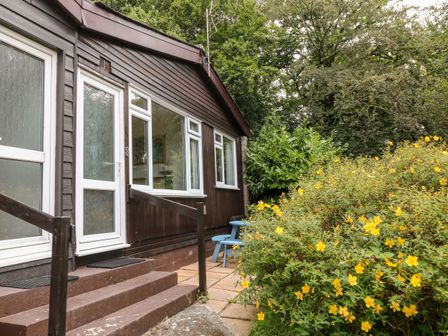 An exterior view of a brown wooden house with white framed windows and doors surrounded by green trees and yellow flowering bushes at 8 The Park in Kilkhampton
