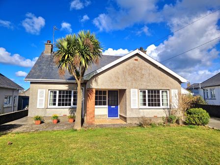 A house with a blue door and two large windows with white shutters and a palm tree in front at Garth in Morfa Nefyn