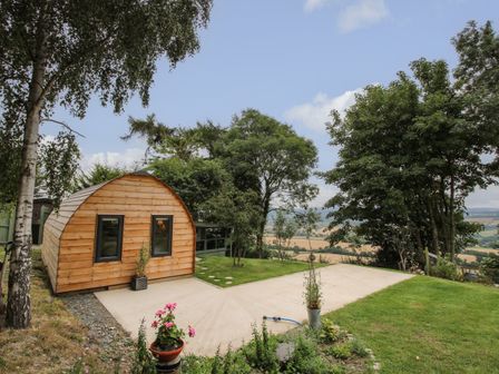 A small wooden pod with two windows on a concrete pad surrounded by grass and trees at The Pod in Worthen near Minsterley