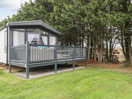 A small cabin with a deck and railing next to trees and grass at Finch 59 in Cayton