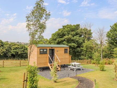 A wooden cabin on wheels with a picnic table outside in a grassy area with trees at Rose in Illogan