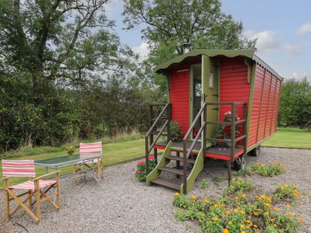 A red gypsy-style caravan with green trim and steps outside next to two chairs and a glass table with flowers at Tilly Gypsy-style Caravan Hut in Llangorse