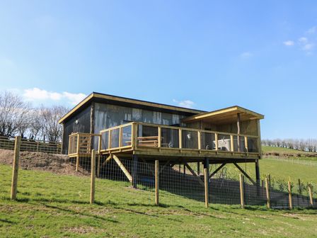 A wooden cabin with a deck and railing on a grassy hillside at Llety Cariad in Llandrindod Wells