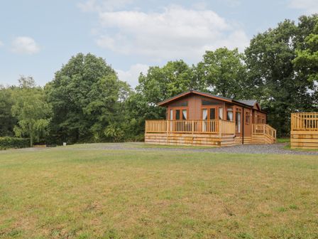 A wooden cabin with a deck and railing on a grassy lawn surrounded by trees at Woodpecker Lodge in Highampton near Sheepwash