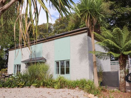 A white textured house with light blue window shutters and a small porch surrounded by greenery and palm trees at Penpoll in Falmouth