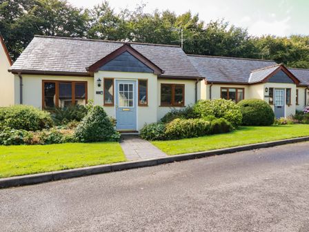 A row of single-story houses with blue doors and front gardens in Lilyvale Davidstow near Camelford