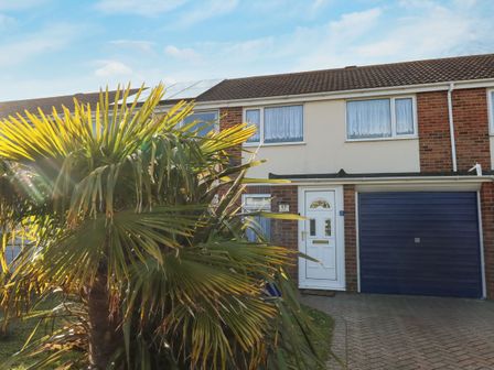 A front view of a brick house with a white door and blue garage door and a palm tree in the garden at Milton House in Weymouth