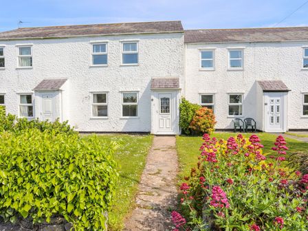 A row of white terraced houses with green bushes and pink flowers in the front garden at Bryntirion in Moelfre