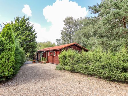A gravel driveway leading to a wooden cabin surrounded by trees and shrubs at Lakeside Lodge Retreat in Tattershall