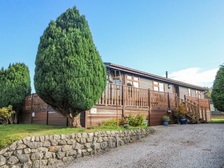 A brown wooden lodge with a stone retaining wall and conifer trees at Mallard Lodge in Carnforth