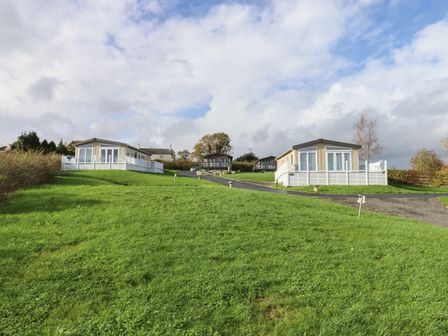 A grassy area with multiple mobile homes and paved paths on a cloudy day