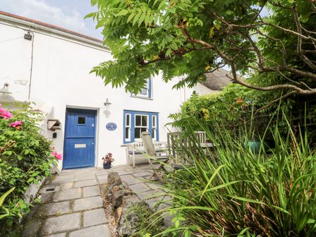 A white cottage with a blue door and window frames and a paved patio with wooden benches and green plants at Honeysuckle Cottage in St Agnes