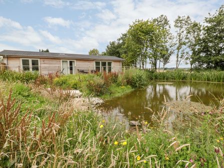 A cabin next to a pond surrounded by tall grass and trees at 21 Meadow Retreat in Dobwalls