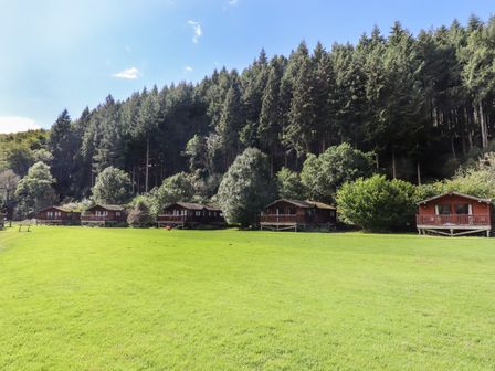 A row of wooden lodges in front of a forest with a large grassy field in front at Dartmoor Retreat Lodge in Clifford Bridge near Moretonhampstead