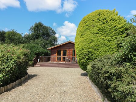 A wooden cabin with a deck surrounded by shrubs and trees at 1 Hornbeam Lodge in Narberth