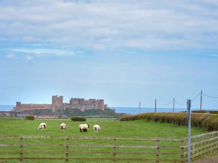 A green field with sheep and a wooden fence and a castle in the background at Dryden Cottage in Bamburgh