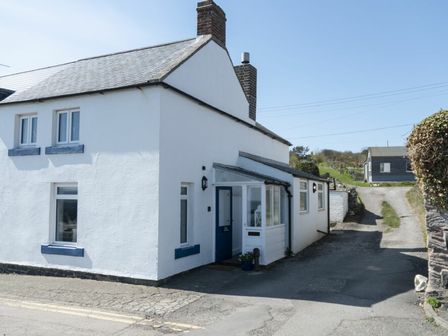 A white cottage with blue window frames and a blue door on a street with a driveway and a small building in the background at Creel Cottage in Craster